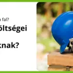 Falazás költségei
